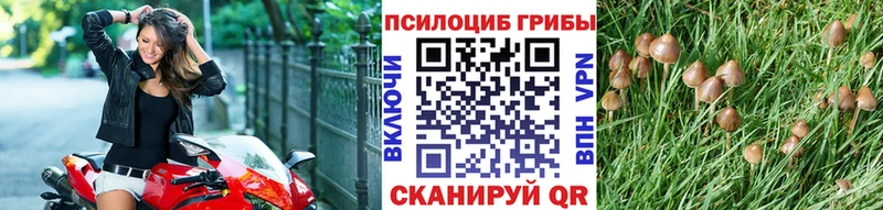 Галлюциногенные грибы Psilocybe  даркнет сайт  Кодинск 